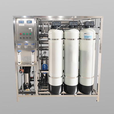 qualità  500L-1000L Containerized Seawater Ro System Plug Play Fabbrica