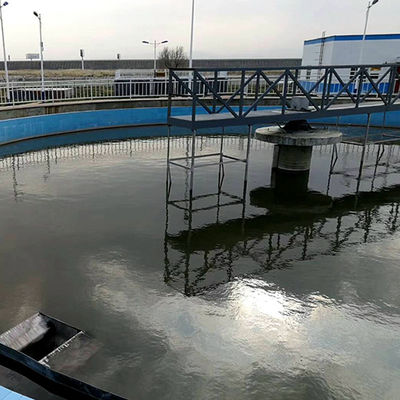 Chiarificatore periferico dell'apparecchio per lo spurgo delle caldaie dell'azionamento del mezzo ponte di acciaio inossidabile